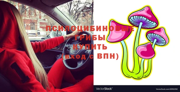 Альфа ПВП Лиски