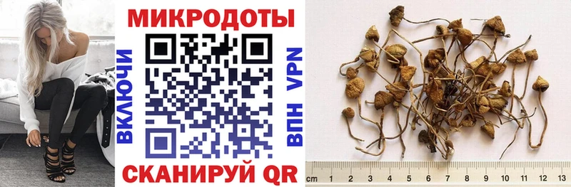 Купить  Калач-на-Дону  Галлюциногенные грибы ЛСД 